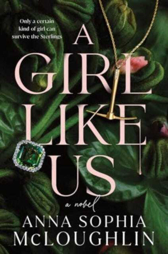 A Girl Like Us A Novel