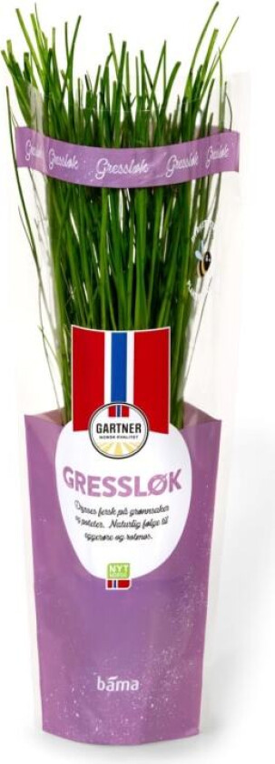 Gressløk 6,5cm Potte Gartner