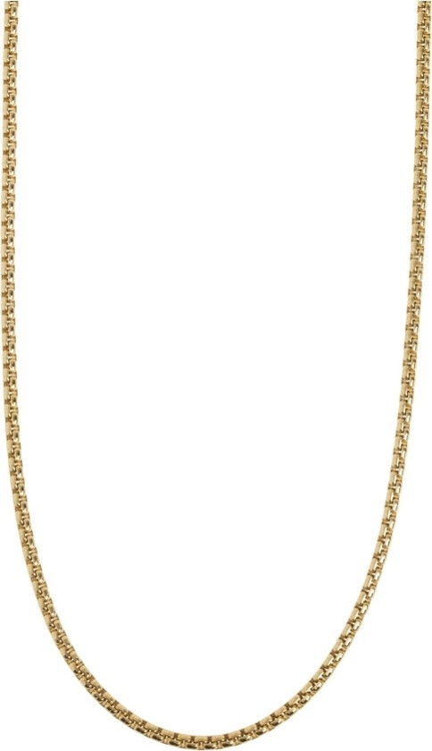 Nori Link Chain Necklace Stainless Steel Gold