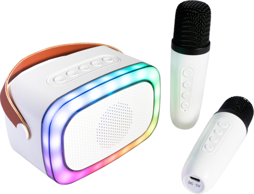 Ibiza Smart Karaoke Bluetooth-høyttaler med 2 trådløse mikrofoner
