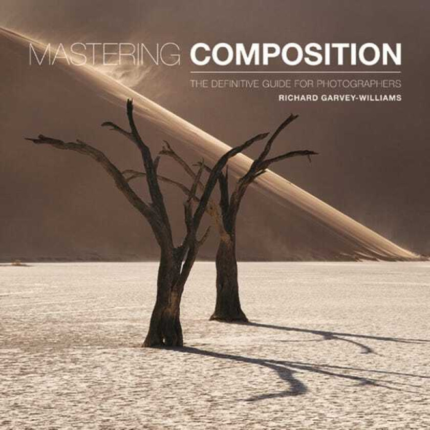 Mastering Composition The Definitive Guide for Photographers