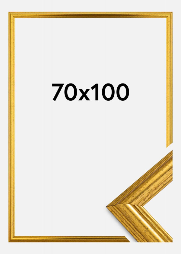 Ramme Västkusten Akrylglass Gull 70x100 Cm