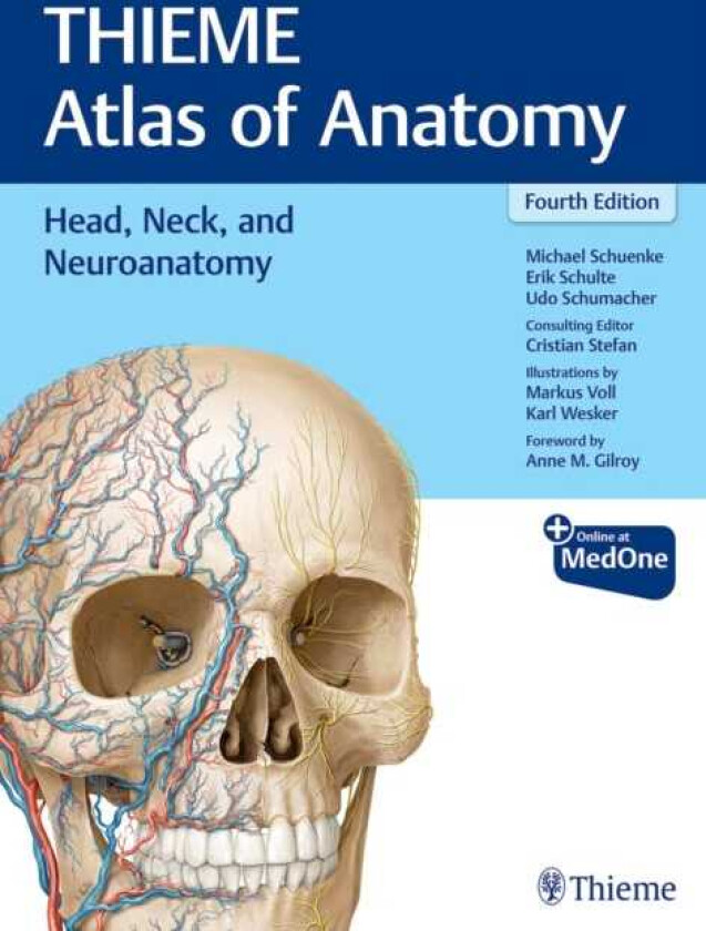 Head, Neck, and Neuroanatomy (THIEME Atlas of Anatomy)