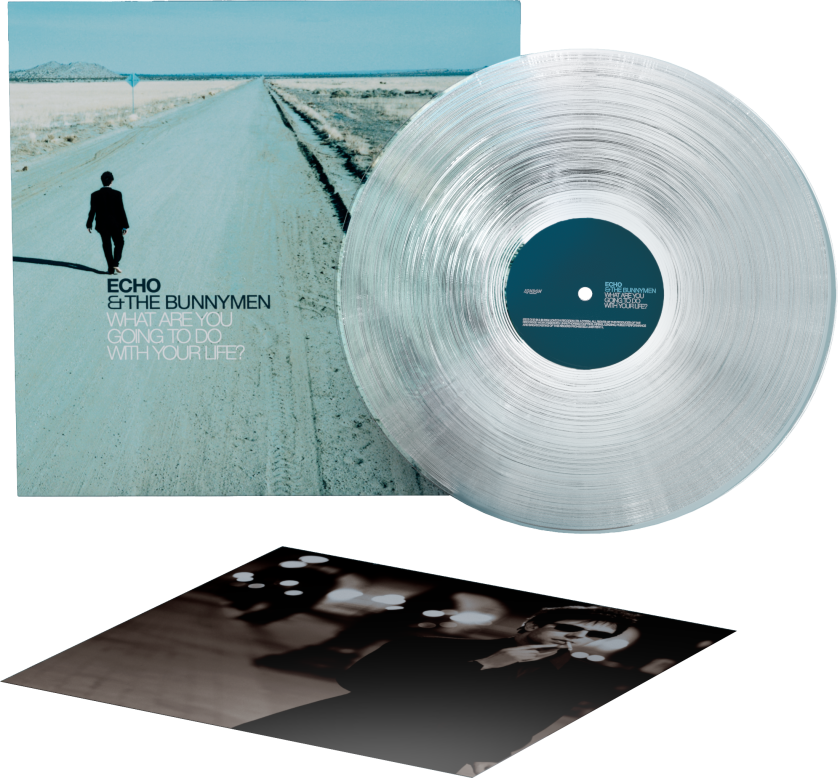 Echo & The Bunnymen What Are You Going To Do With Your Life ? LP/Vinyl