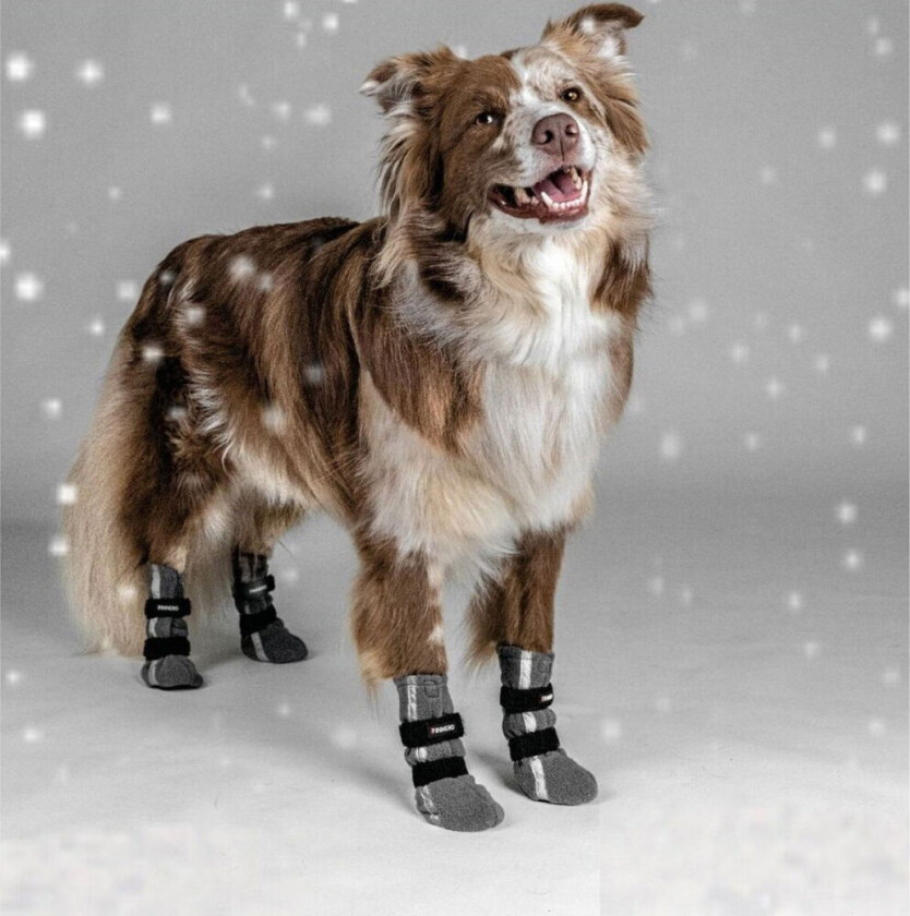 Finnero Halla Potesokker i Fleece Reflekterende Grå 4-pakk (S)