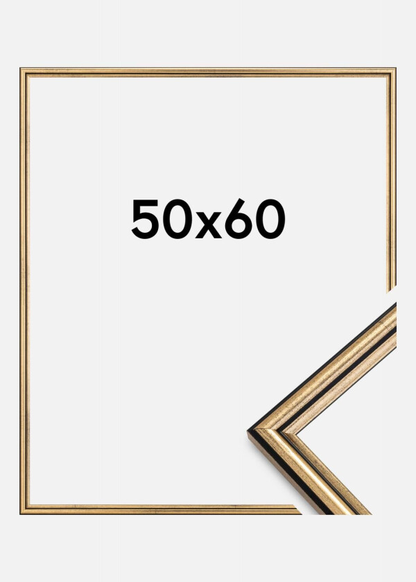 Ramme Horndal Gull 50x60 Cm