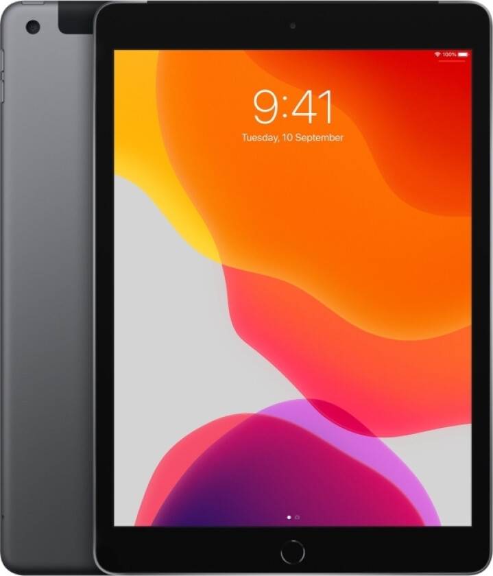 10.2-Inch Ipad Wi-Fi + Cellular - 8. Generasjon - Tablet - 128 Gb - 10.2" Ips (2160 X 1620) - 3G, 4G - Lte - Romgrå