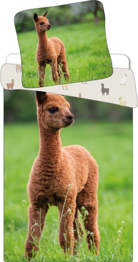 Sengetøy - 100 % bomull - Alpakka sengesett - Vendbart sengetøy i 140x200 cm