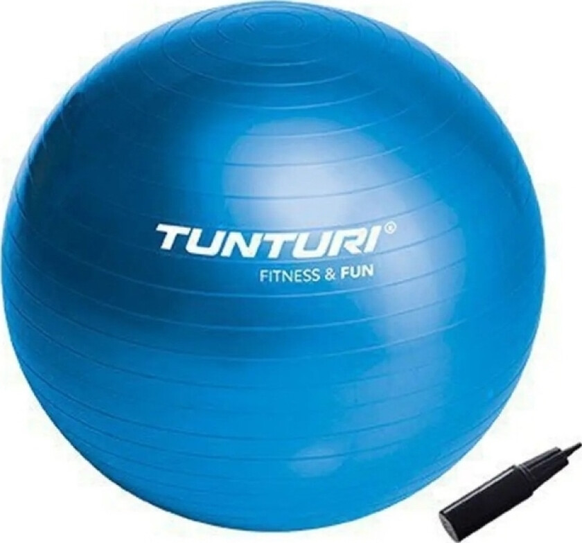 Gymnastikkball Tunturi 90cm
