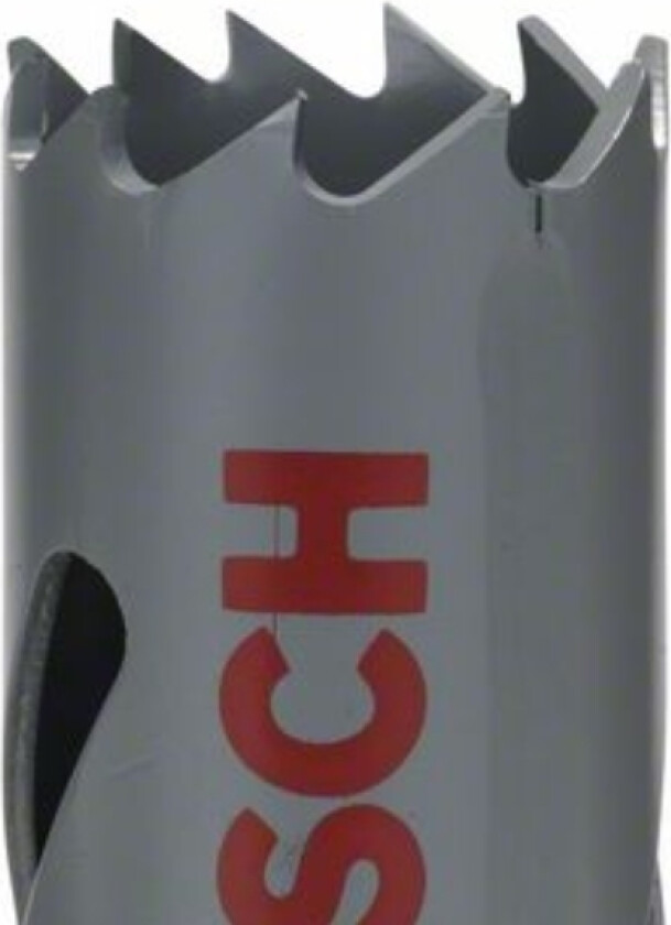 Accessories Bosch 2608584104 Stiksav 22 mm 1 stk