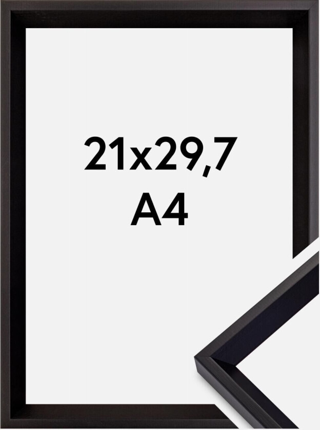 Ramme Globe Akrylglass Svart 21x29,7 Cm (A4)