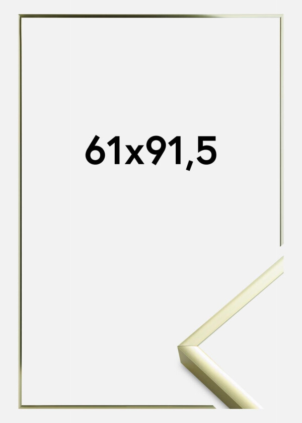 Ramme Poster Aluminum Akrylglass Gold 61x91,5 Cm