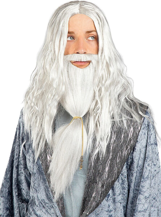 FUNIDELIA Humlesnurr Parykk og Skjegg - Harry Potter til mann - Størrelse: 0