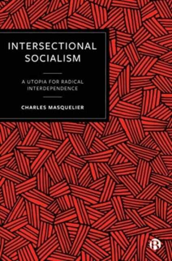 Intersectional Socialism A Utopia for Radical Interdependence