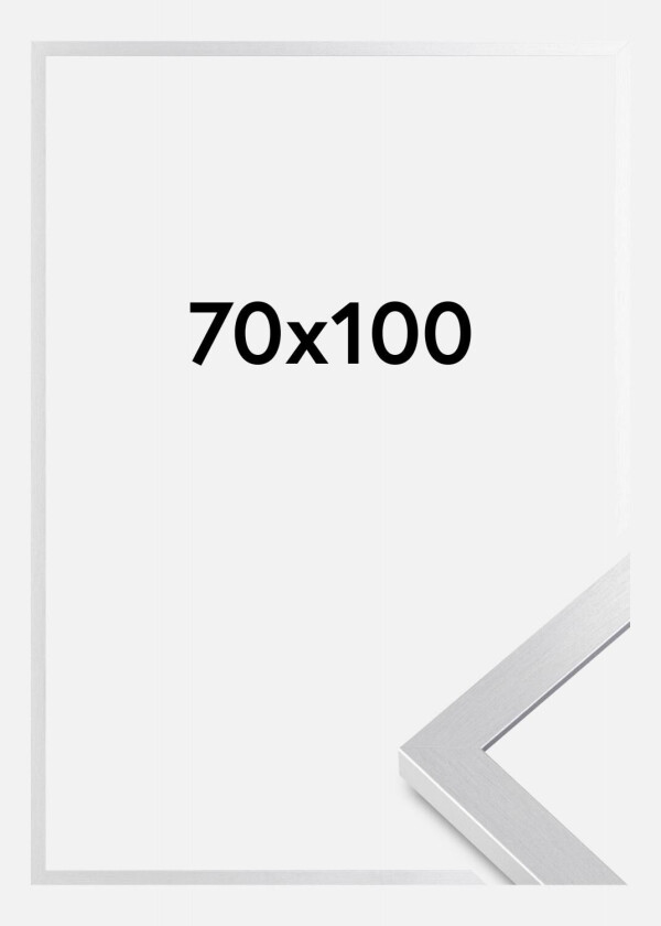 Ramme Selection Akrylglass Sølv 70x100 Cm