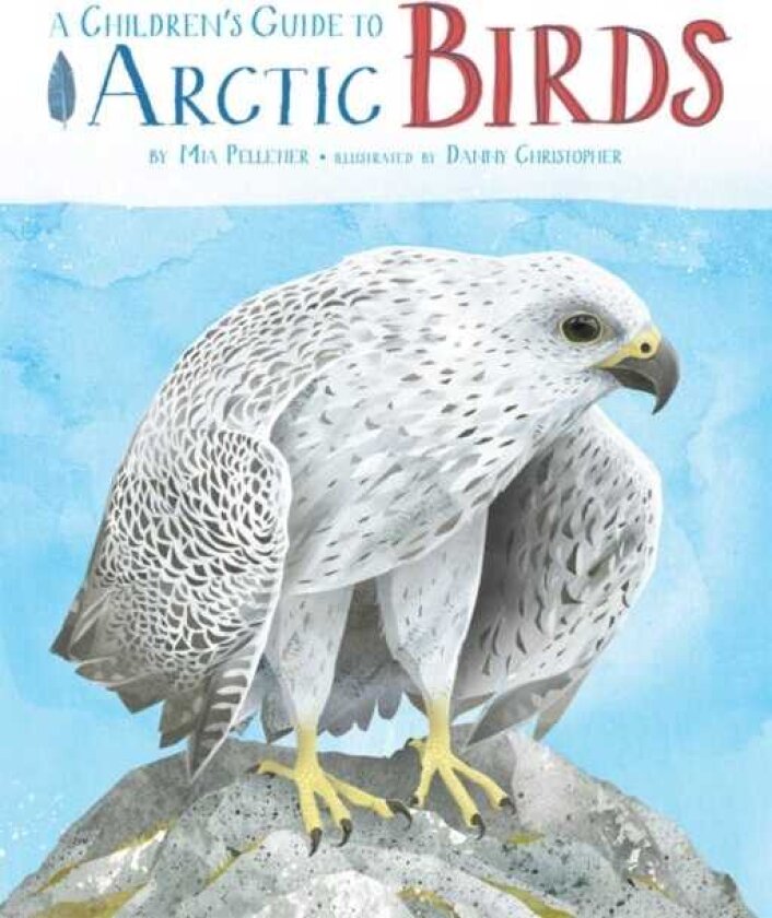A Children's Guide to Arctic Birds