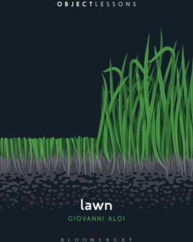 Lawn