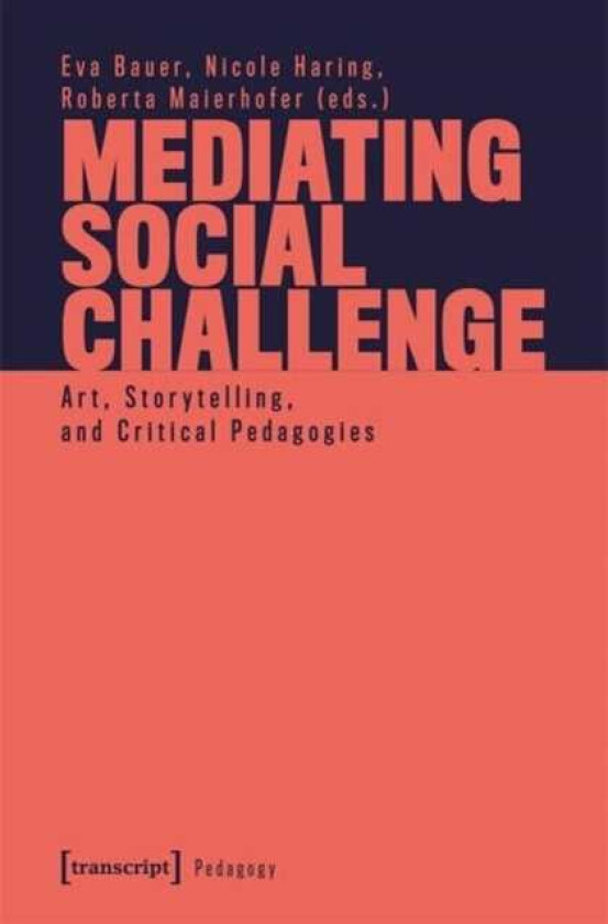 Mediating Social Challenge Art, Storytelling, and Critical Pedagogies