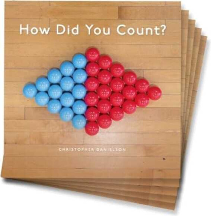 How Did You Count? 5Pack of Softcover Picture Book