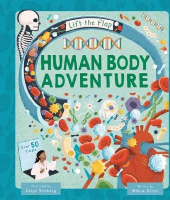 Human Body Adventure