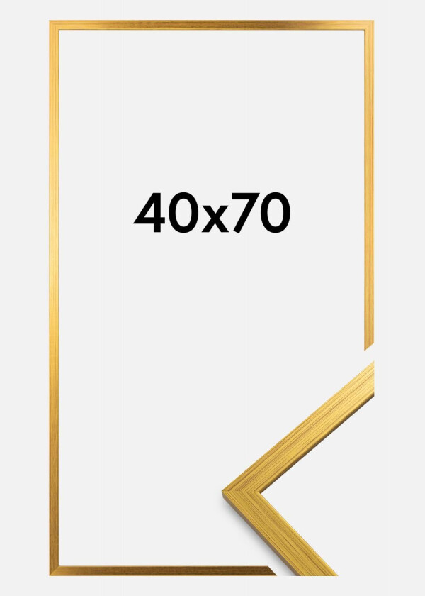 Ramme Edsbyn Akrylglass Gull 40x70 Cm