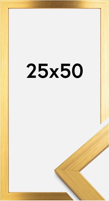 Ramme Gold Wood 25x50 Cm