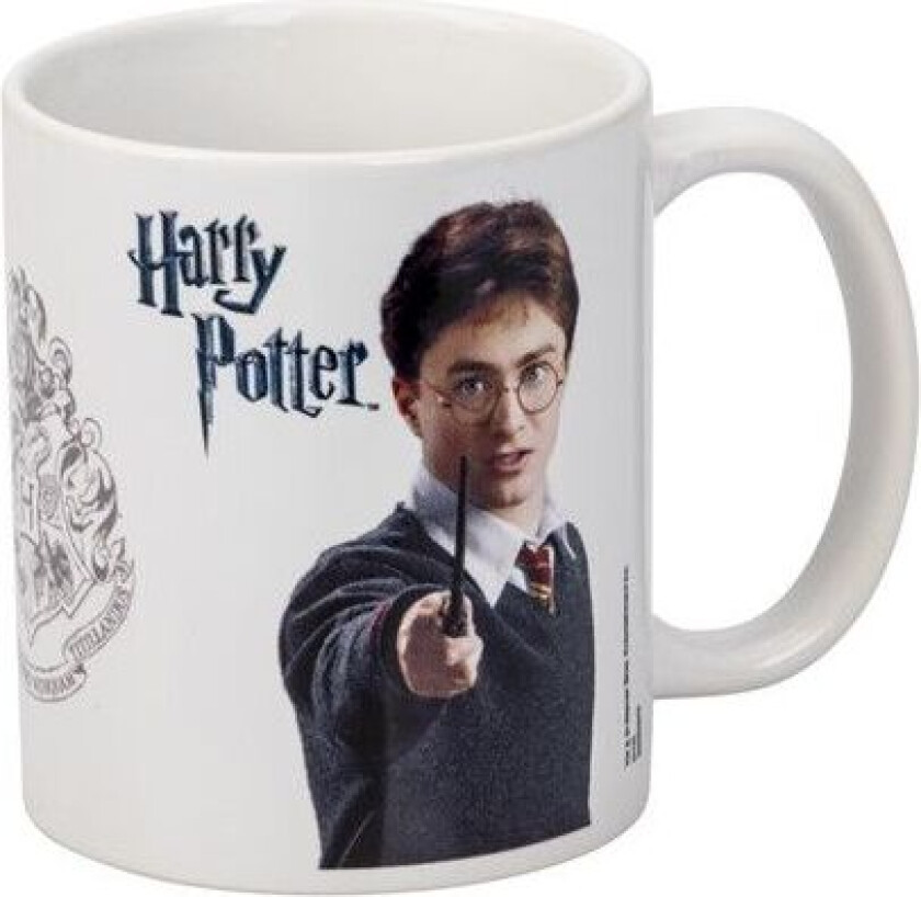 Kopp Harry Potter