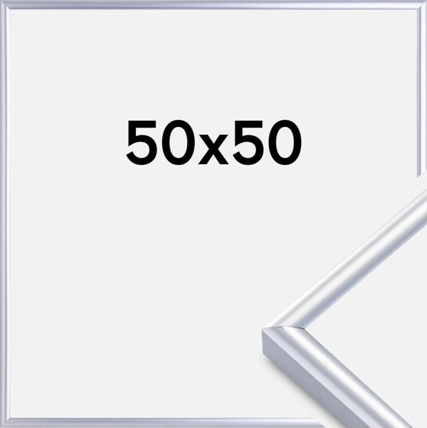 Ramme Victoria Akrylglass Sølv 50x50 Cm