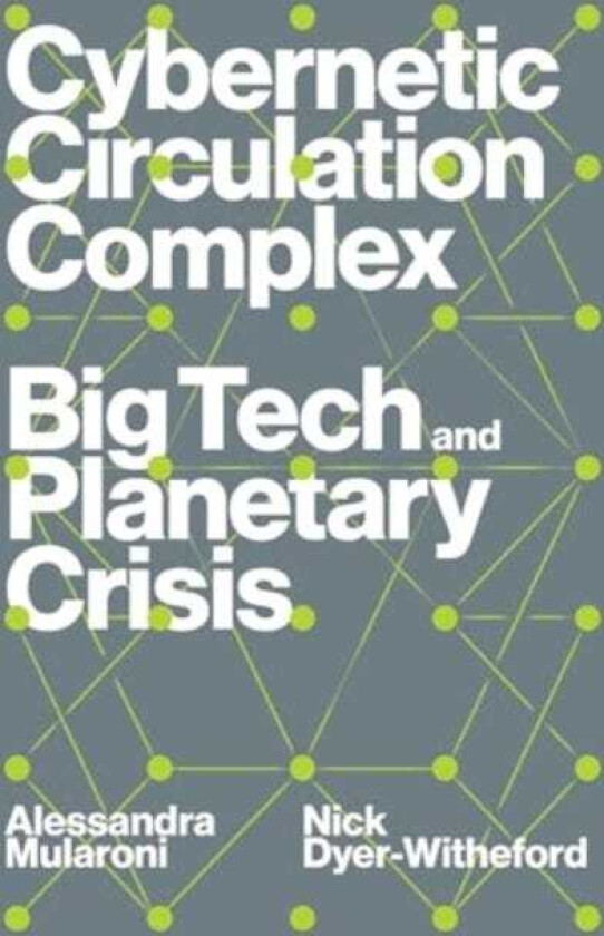 Cybernetic Circulation Complex Big Tech and Planetary Crisis