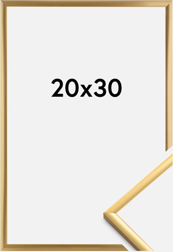 Ramme New Lifestyle Shiny Gold 20x30 Cm