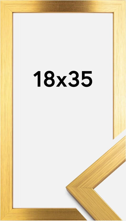 Ramme Gold Wood 18x35 Cm