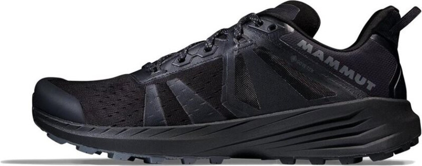 Saentis TR Low GTX Herre Black 46