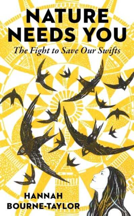 Nature Needs You The Fight to Save Our Swifts