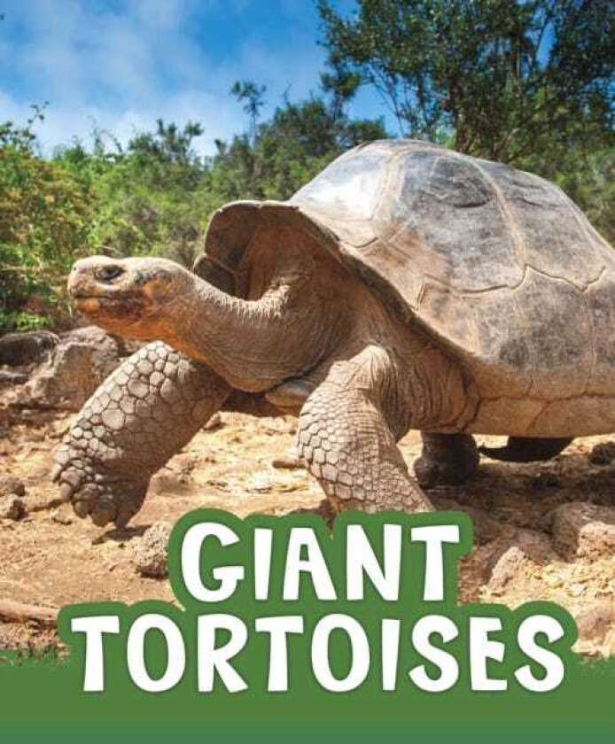 Giant Tortoises