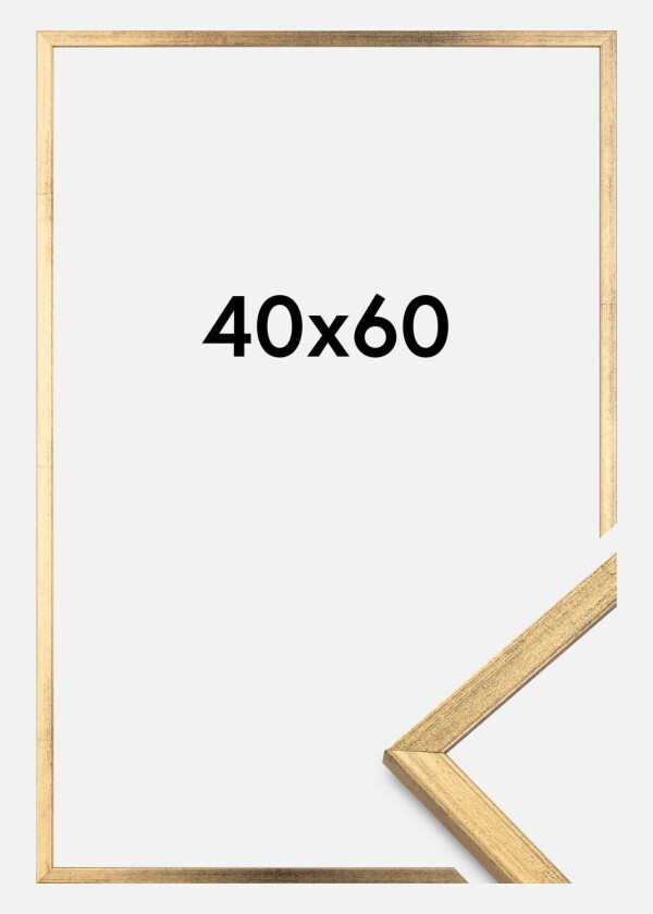 Ramme Galant Gull 40x60 Cm