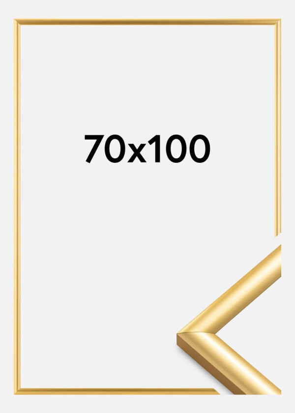Ramme Trendstyle Gull 70x100 Cm