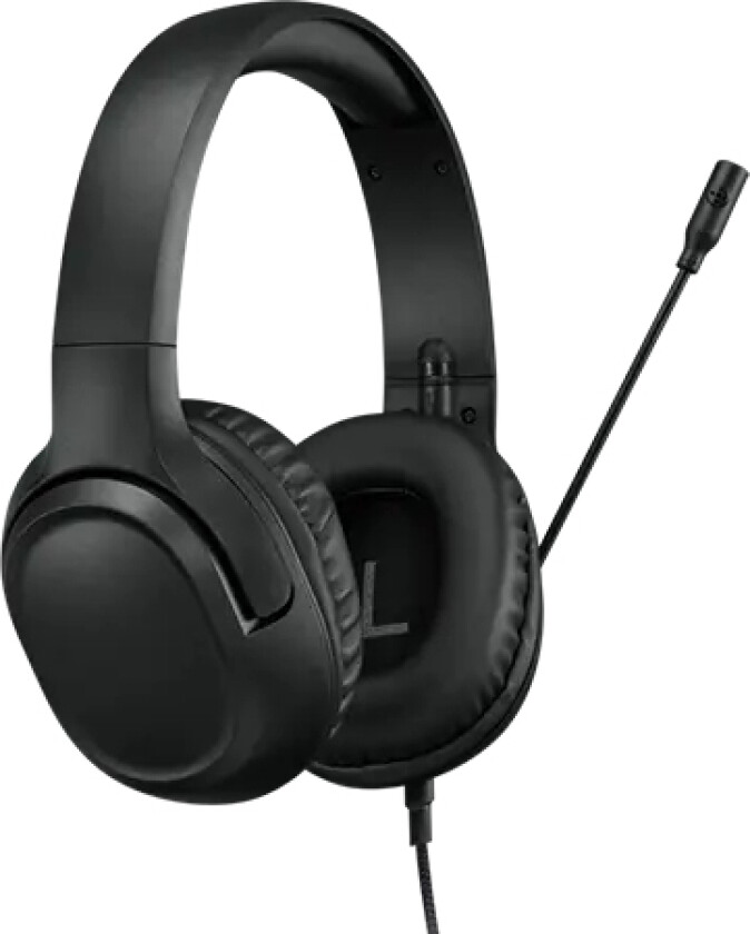 H110 Gaming Ausins
