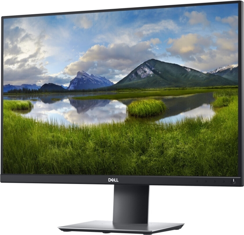 P2421 - Led-Skjerm - 24.1" - 1920 X 1200 Wuxga @ 60 Hz - Ips - 300 Cd/M² - 1000:1 - 5 Ms - Hdmi, Dvi, Displayport, Vga