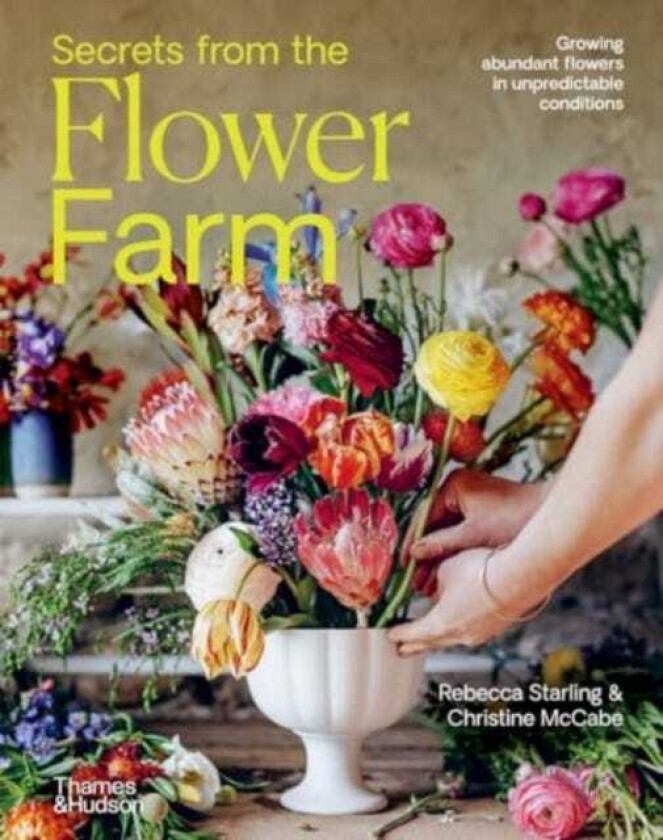 Secrets from the Flower Farm  Growing abundant flowers in unpredictable conditions