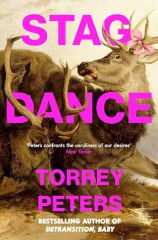Stag Dance From the bestselling author of Detransition, Baby