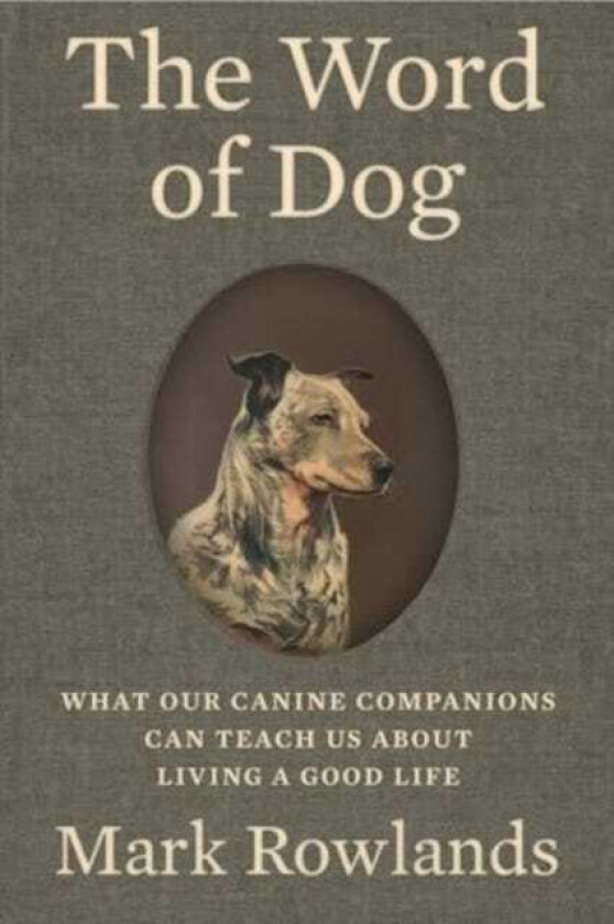 The Word of Dog What Our Canine Companions Can Teach Us About Living a Good Life