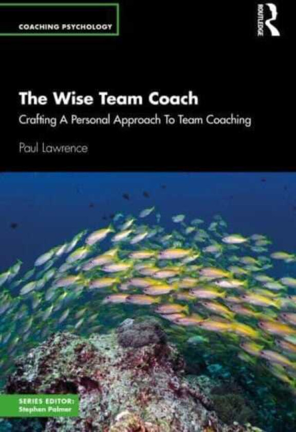The Wise Team Coach Crafting A Personal Approach To Team Coaching