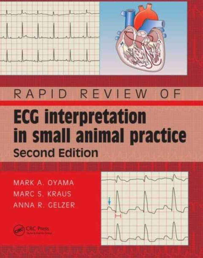 Rapid Review of ECG Interpretation in Small Animal Practice