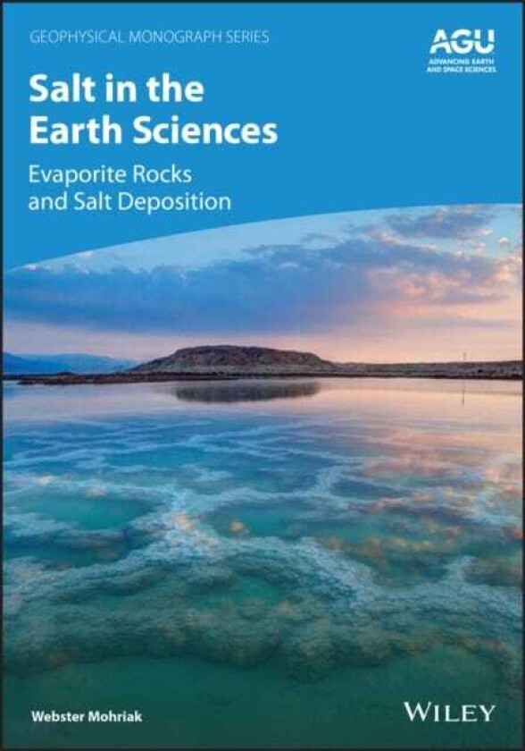 Salt in the Earth Sciences Evaporite Rocks and Salt Deposition