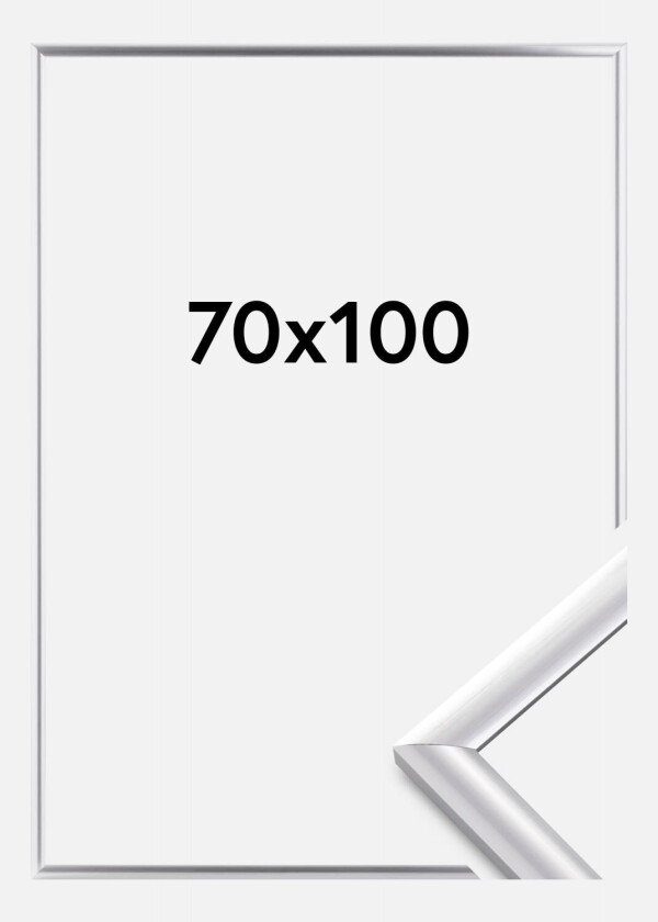 Ramme Trendstyle Sølv 70x100 Cm