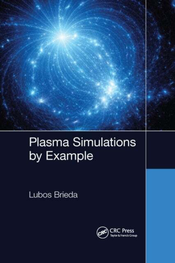 Plasma Simulations by Example av Lubos Brieda