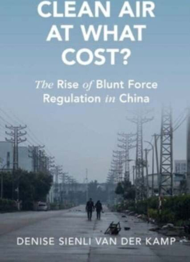 Clean Air at What Cost? av Denise Sienli (University of Oxford) van der Kamp