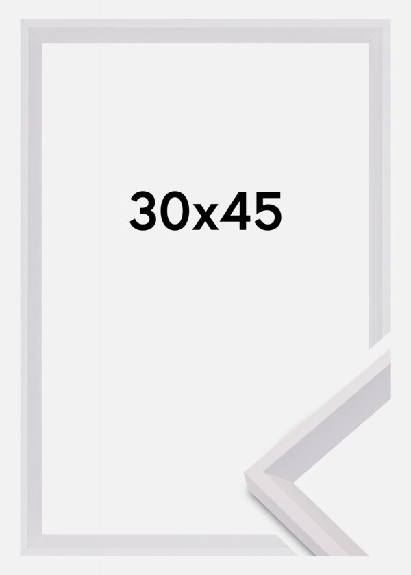 Ramme Globe Akrylglass Hvit 30x45 Cm