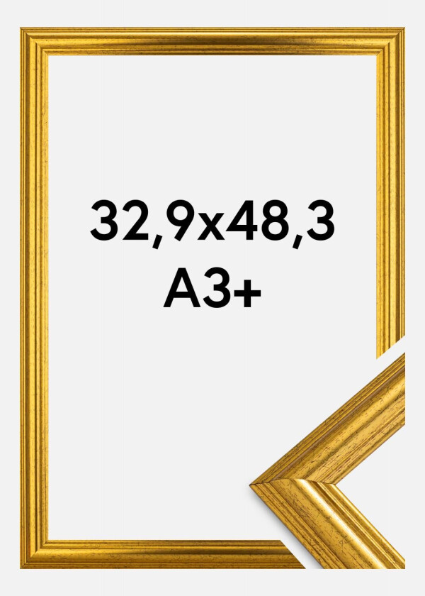 Ramme Västkusten Akrylglass Gull 32,9x48,3 Cm (A3+)