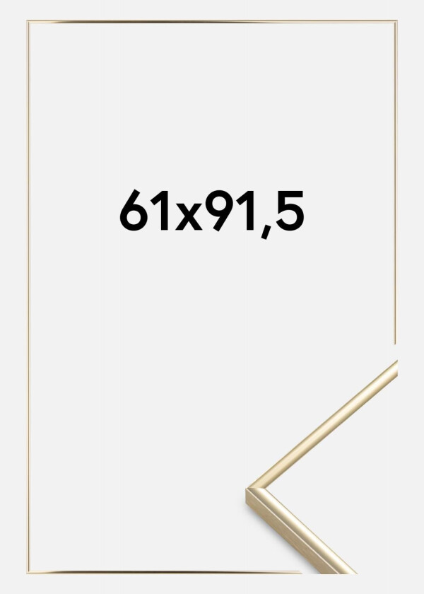 Ramme Visby Akrylglass Blank Gull 61x91,5 Cm